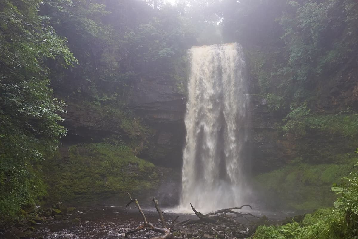 Die Henrhyd Falls stürzen in eine bewaldete Schlucht in den Brecon Beacons