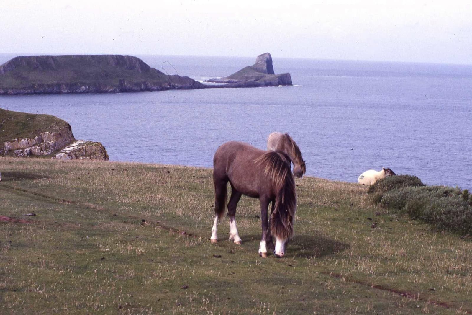 Worm’s Head ragt am Ende der Rhossili Bay auf Gower ins Meer hinaus